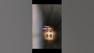 #science #quizze #canyouanswer #alberteinstein #physics #quizzers #einstein #experiment #puzzle #gk