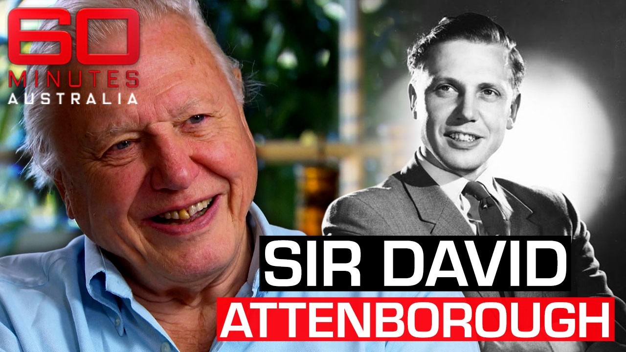 Inside the wild life of broadcasting legend Sir David Attenborough | 60 Minutes Australia