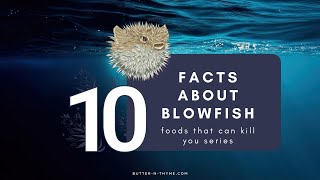 10 Interesting FACTS About BLOWFISH 🐟 Foods That Can KILL You Series