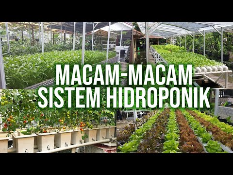 Macam-Macam Sistem Hidroponik