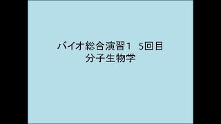 バイオ総合演習④（分子生物学）2020