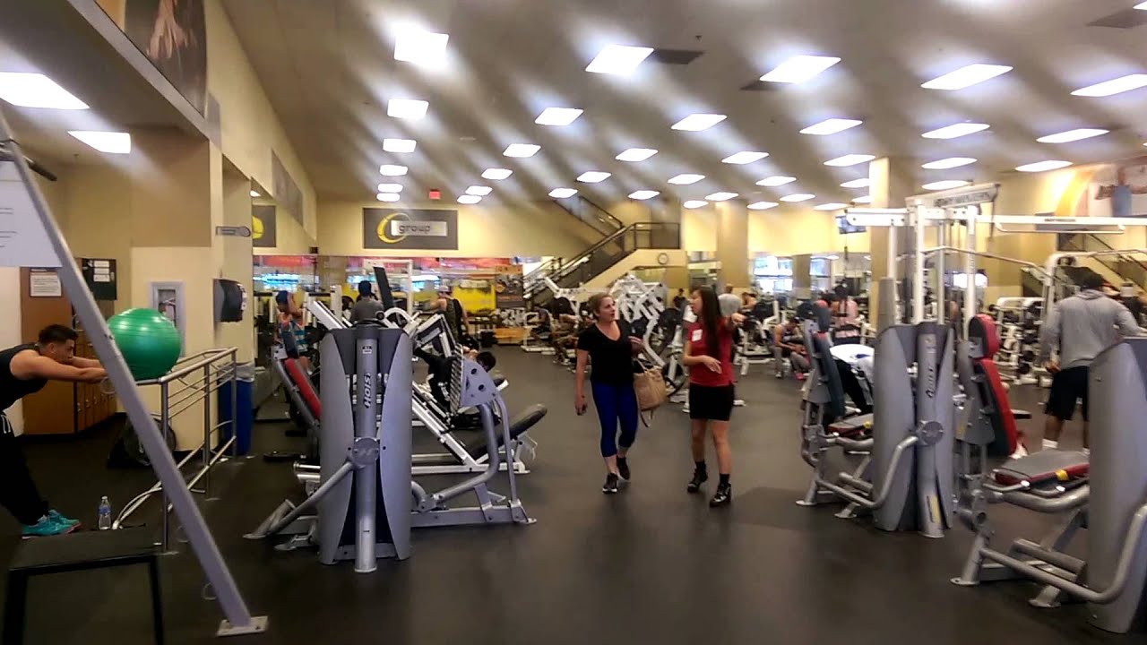 Фитнес лось. Фитнес клуб Лос Анджелес. Gold s Gym Лос Анджелес. Люди Планета фитнес Лось.