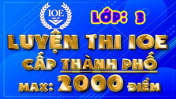 IOE lớp 3 cấp Thành Phố, IOE lớp 3 cấp Tỉnh - Max 2000 điểm