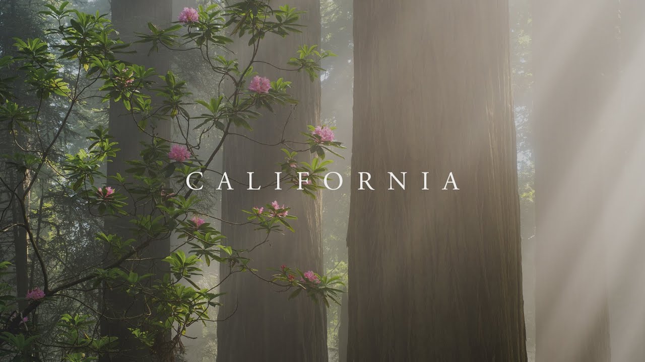 Travel Photography on the California Coast // Fuji X-T5