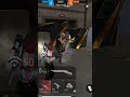 #garenafreefire #freefirelovers #lifeisbutadream #battleroyalegame #football #gaming #freefire