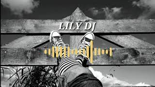 DJ Lily ~ Alan walker Remix | Musik 