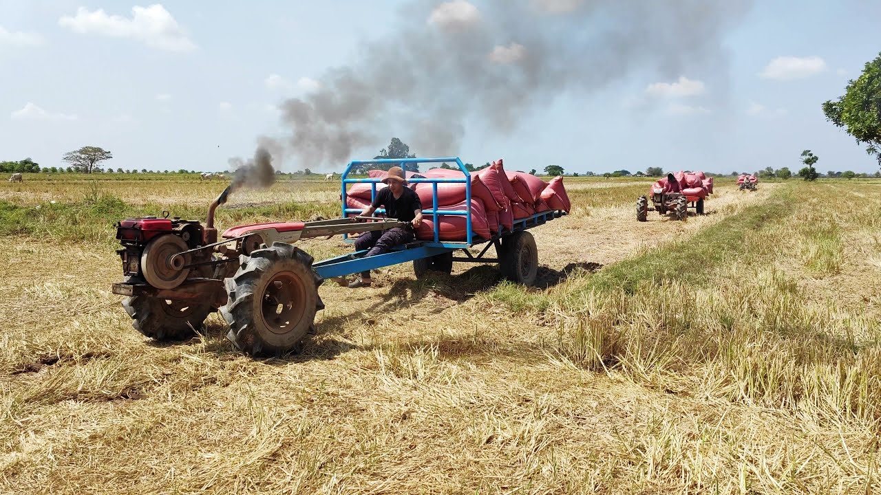 Drive mini tractor across farmland for agriculture transportation after harvested 4K 