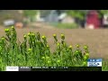 Lawsuit challenging North Mankato environmental review dropped