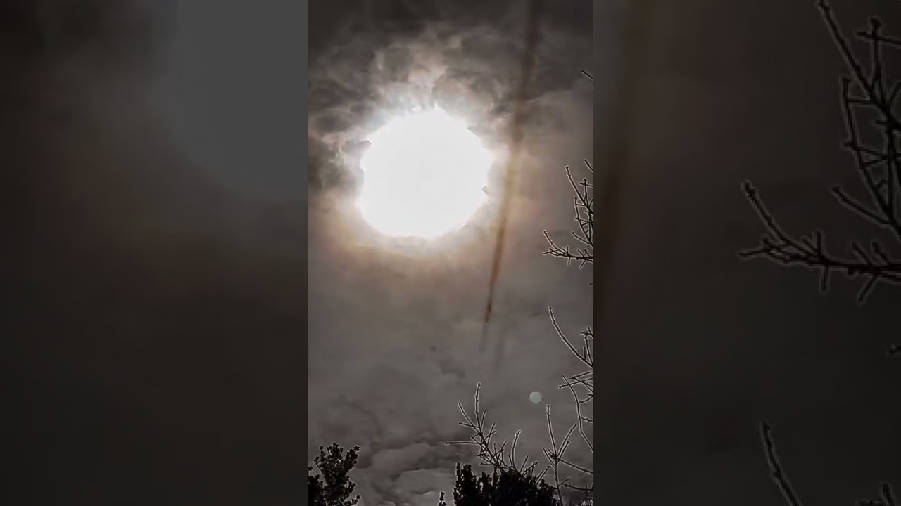 Look At This Thing Gooooo 