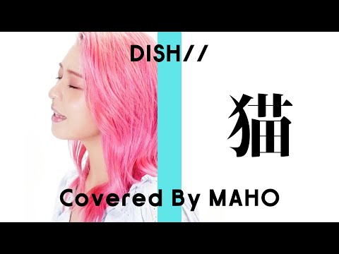 【女性が歌う】猫 - DISH//(Covered By MAHO)【フル歌詞付き】