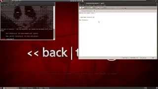 Slowloris.pl Class Demo