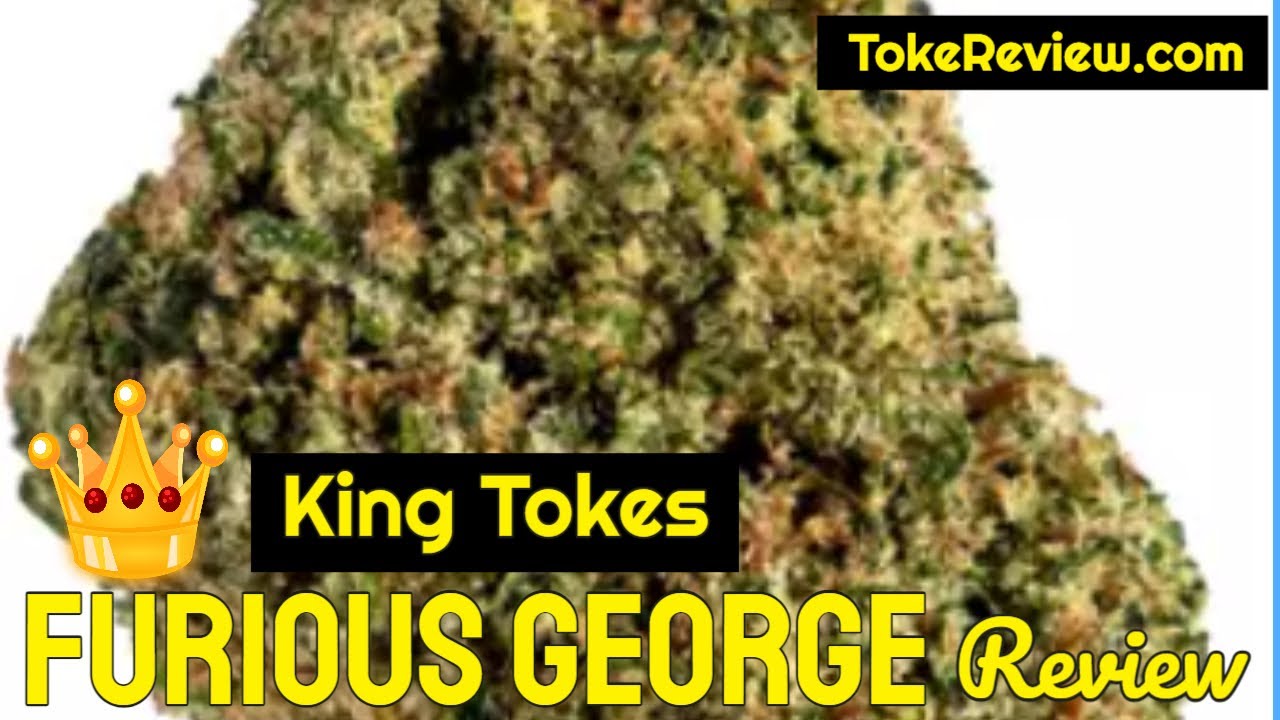King Toke's Review of the Furious Marijuana Strain YouTube