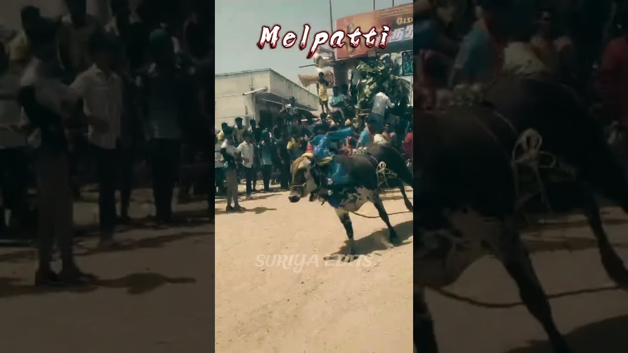 Melpatti collection 🔥⚡