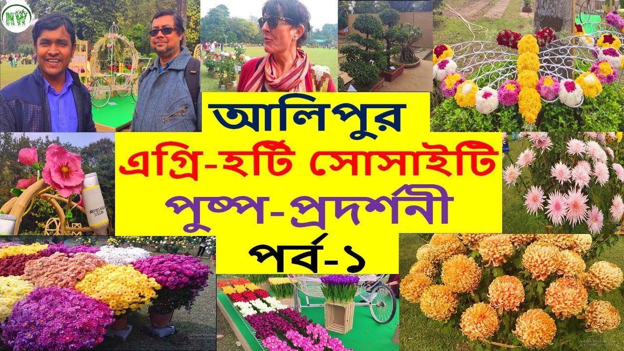 দর্শকদের মুখ থেকে শুনে নিন আলিপুরের পুষ্প-প্রদর্শনী সম্পর্কে।।