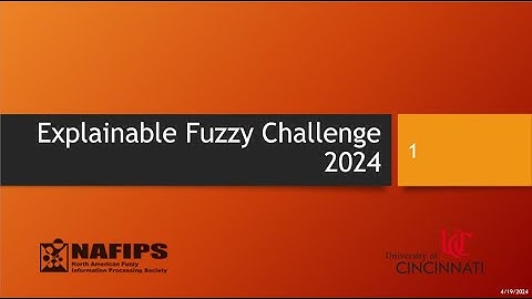 Explainable Fuzzy Challenge 2025 test