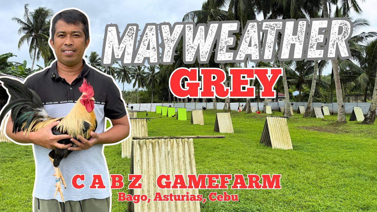 Nagsimula Lang sa Tagalogin | Cabuyao Bros. 