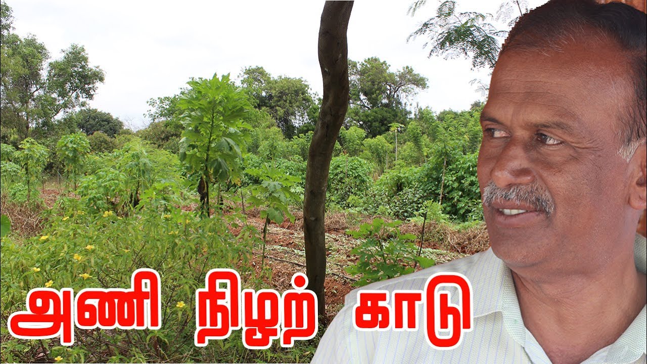 தாளாண்மை பண்ணை வடிவமைப்பு | மரங்களை அடர் நடவு முறையில் நடலாமா? Multi layer Food forest | பாமயன்