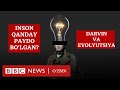 Инсон қандай пайдо бўлган? Дарвин ва эволюция назарияси - BBC News O&#39;zbek Darwin Evolution