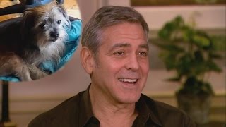 EXCLUSIVE: George Clooney Reveals Why He Adopted That Handicapped Dog For His Parents