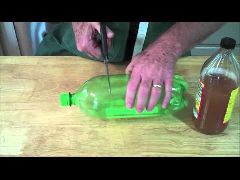 Homemade Fruit Fly Trap {Gnat Trap} • The Fresh Cooky