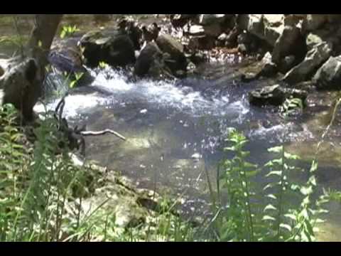 Home for Sale in on 20 Wooded Acres Near Tenkiller Lake, Oklahoma 