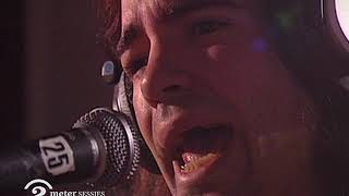 The Posies - I Am The Cosmos (Chris Bell cover) (Live on 2 Meter Sessions) Resimi