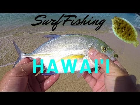 Surf fishing Hawaii (It was a GRIND) 