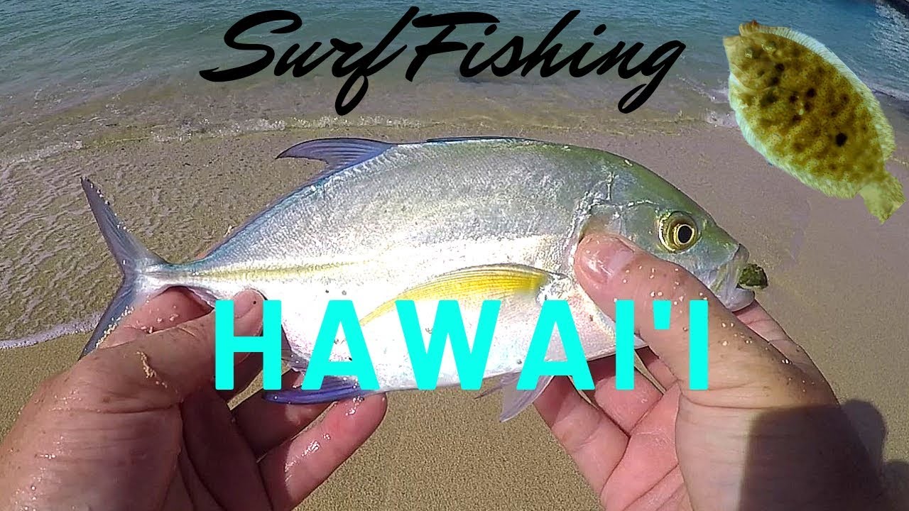 Surf fishing Hawaii (It was a GRIND) YouTube