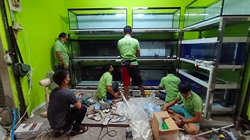 โครงการใหม่ กับห้องที่ใหญ่ขึ้นของ หมูปลาสั้น สนามหลวง 2 Set 2