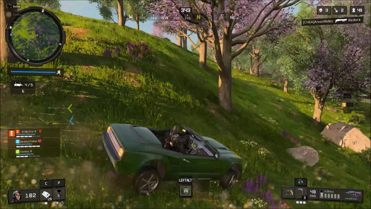 roadkill 
