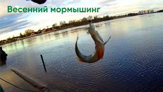 Мормышинг На Неве | Тестирую Новые Приманки И Крючки