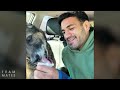Retired Bomb Detection Dog Finally Gets Her Dream Snow Day | The Dodo
