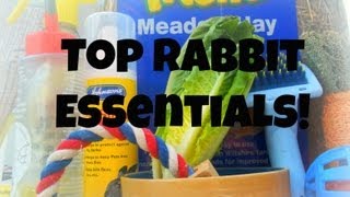 Top Rabbit Essentials! | RosieBunneh