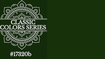 [DARK GREEN] — 4K Solid Color Background (1 Hour Loop) | Digital Visual Display