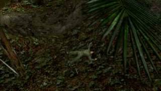 Hidden & Dangerous 2 - Easter Egg on Burma 1 Instruction