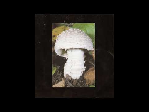 Monos — Monos ‎– Window (2003)