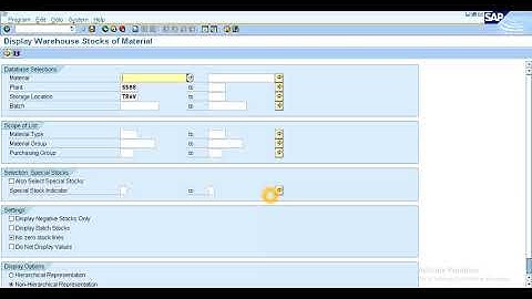 SAP MM 501 & 561 Movement type initial stock inward process