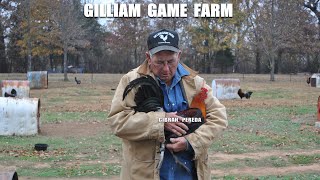 Gilliam White Leg Round Head