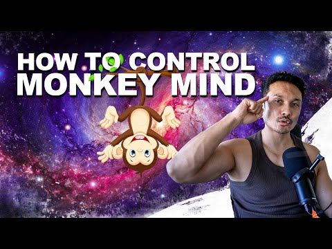 Control your Monkey Mind | Stoic Aadmi | Jeet Selal