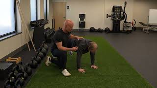 Plank Single Arm Reaches