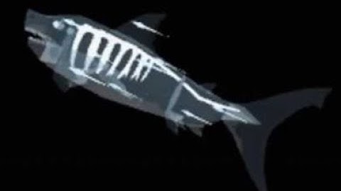 Trying to catch the Phantom Megalodon on Fisch!