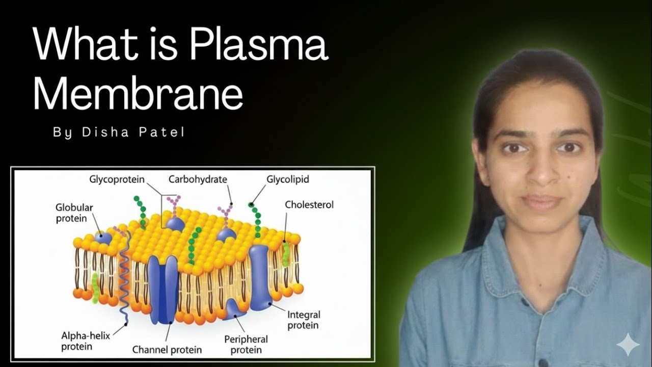 What is Plasma Membrane? | Fluid Mosaic Model Explained