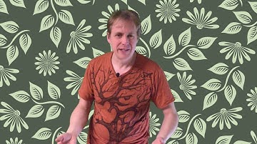 Introducing After Effects Expressions: Giving a bee a bit of a wiggle