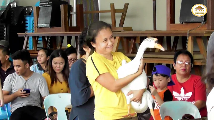 Franciscan's Pet Blessing 2019