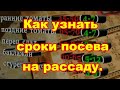 Сроки посева на рассаду в разных регионах, всех культур