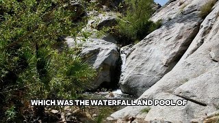 INDIAN CANYON TRAIL — PALM SPRINGS, CALIFORNIA 🌵