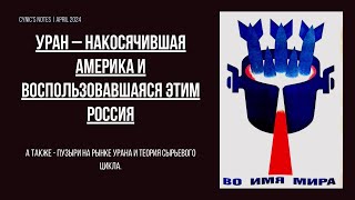 Уран в пузыре - Америка и Россия на рынке урана, теория сырьевого цикла и  Мегатонны в мегаватты