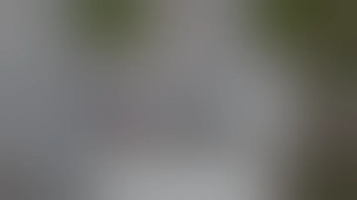 The 911 Call made about Brain Laundry Hitting Gabby Petito | The Murder of Gabby Petito Peacock Docu