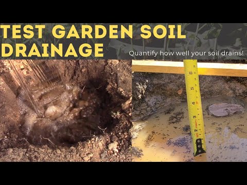 Video: Sužinokite apie gerai nusausinantį dirvožemį – kaip sužinoti, ar dirvožemis gerai nusausinamas