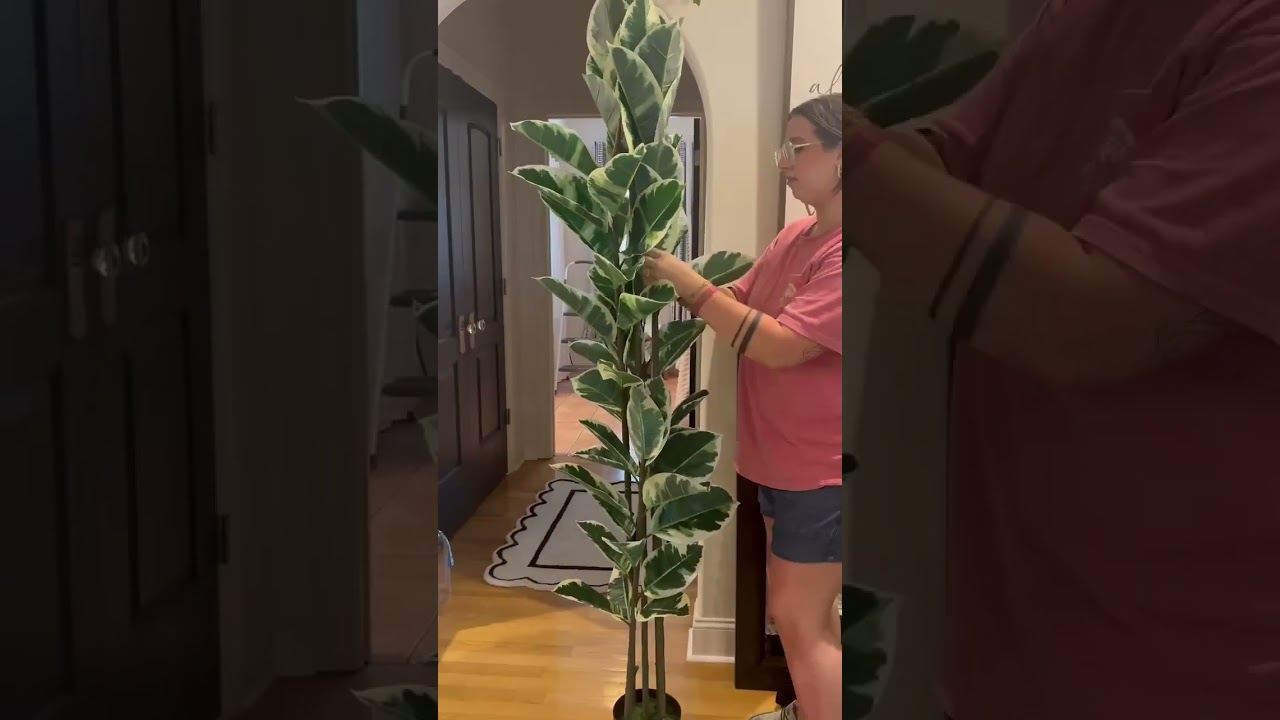 Greenery isn’t just an accessory— #home #interiordecorator #homestager #homedecor #newhome